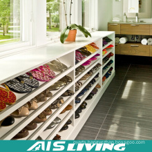 Moisture Proof Modern Shoes Shelves Cabinets (AIS-W144)